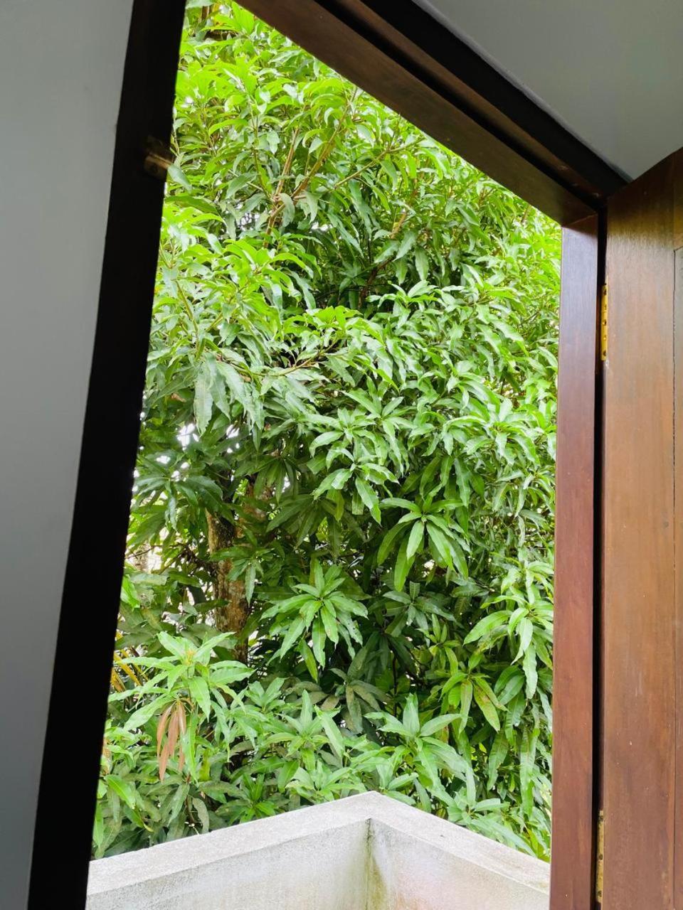 Chami'S Home Stay Mirissa Exterior foto